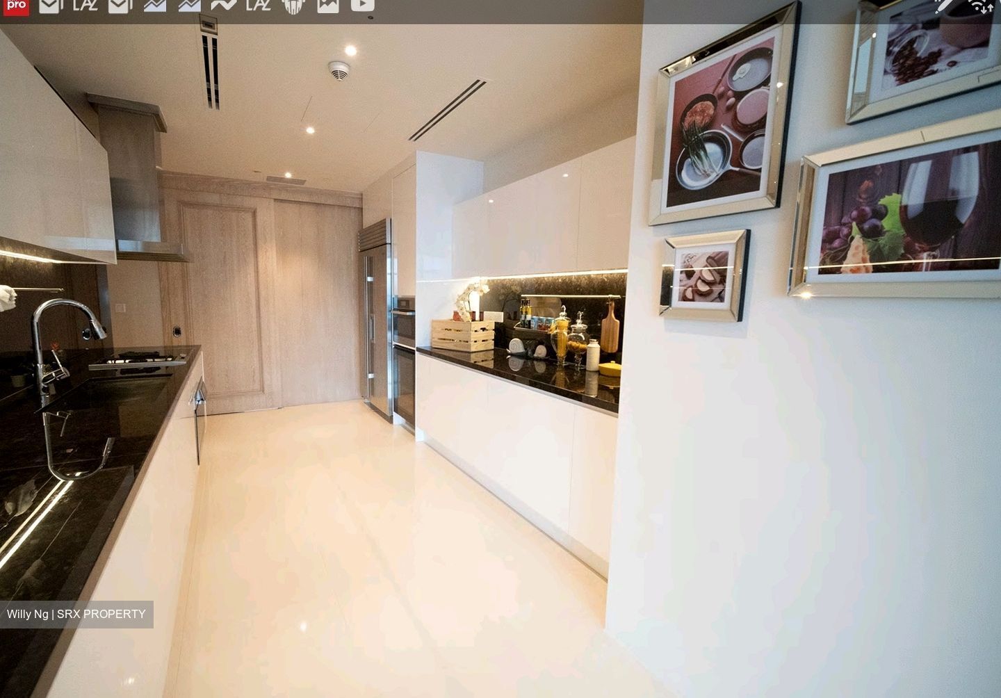 The Ritz-Carlton  (D9), Condominium #417002151